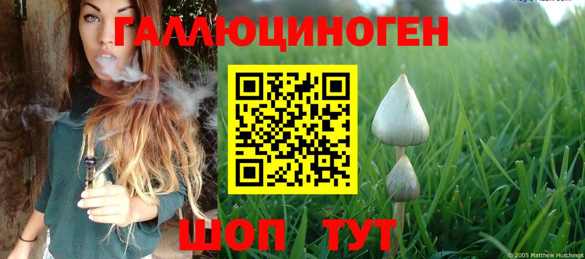 Псилоцибиновые грибы мухоморы Шатура
