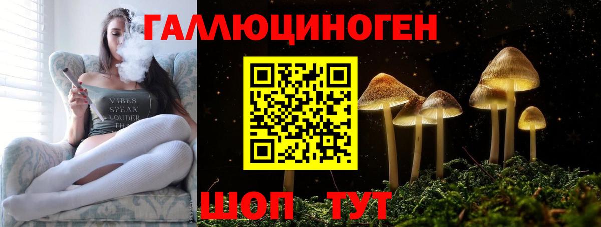 Шатура  Галлюциногенные грибы GOLDEN TEACHER  Псилоцибиновые грибы ЛСД  Вход с VPN 