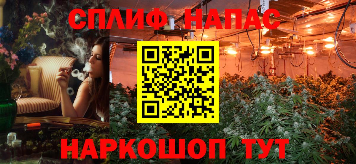 Марихуана SATIVA & INDICA Шатура